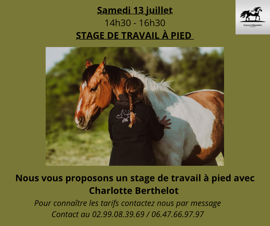 Votre texte de paragraphe